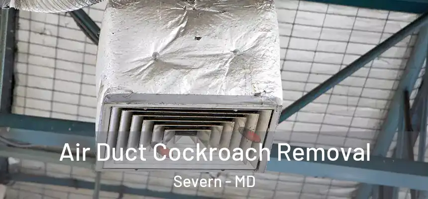 Air Duct Cockroach Removal Severn - MD