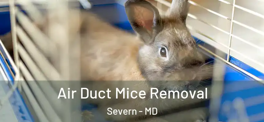 Air Duct Mice Removal Severn - MD