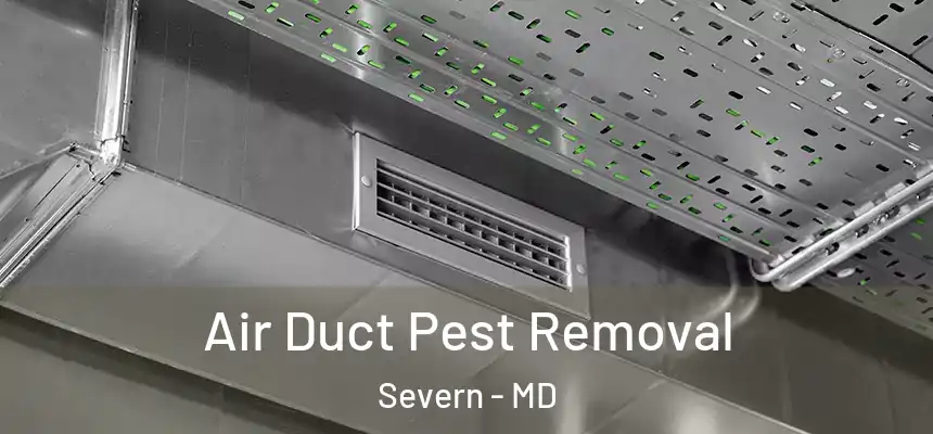 Air Duct Pest Removal Severn - MD