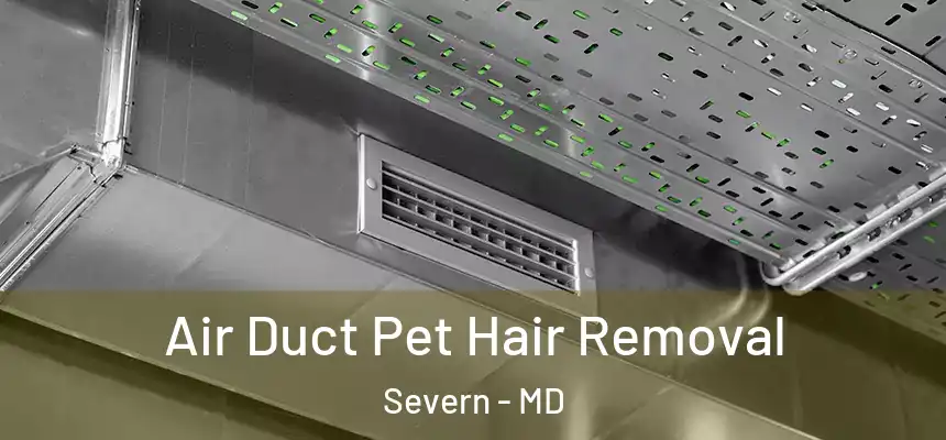 Air Duct Pet Hair Removal Severn - MD