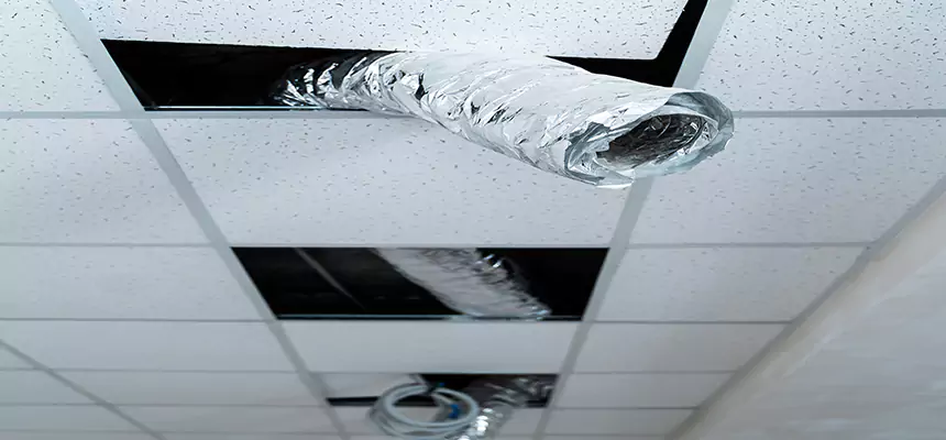 Affordable HVAC Sanitizing After Pest Removal in Severn