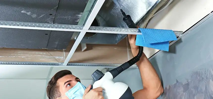 Our Air Duct Rodent Removal Services in Severn, MD