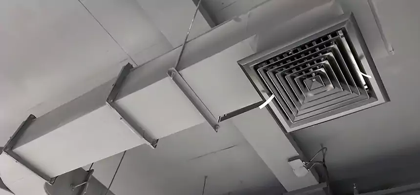 Restorative Allergy Relief Vent Cleaning – Coil, Blower & Housing Detail in Severn