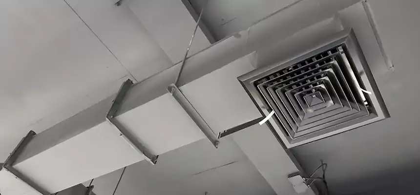 Our Rodent Droppings In Vents Services in Severn, MD