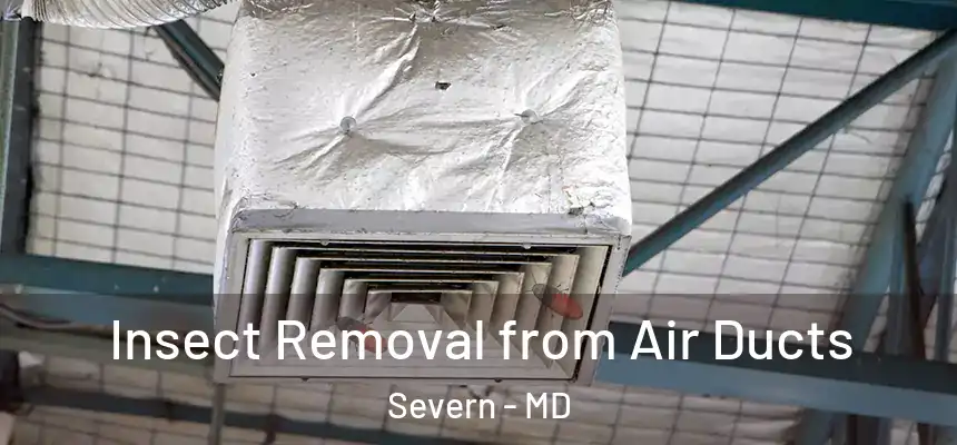 Insect Removal from Air Ducts Severn - MD