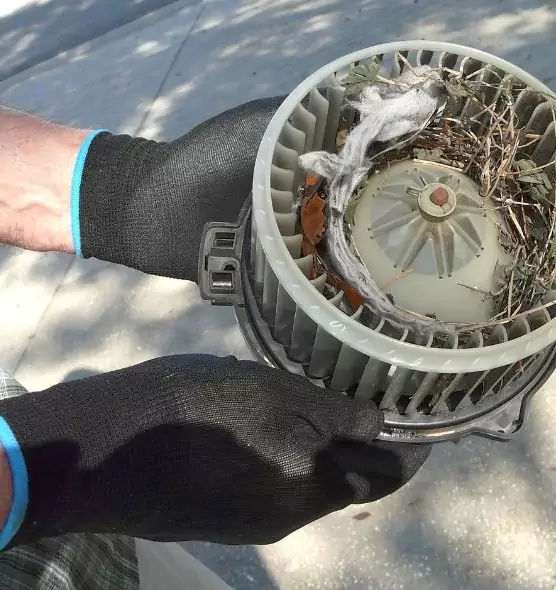 About Air Duct Mice Removal in Severn, MD