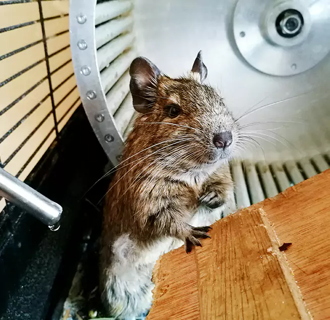 Why Homeowners & Businesses Trust Us Severn, MD