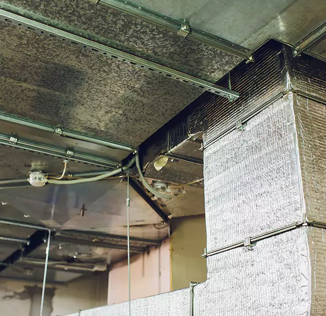 Why Homeowners & Businesses Trust Us in Severn, MD?